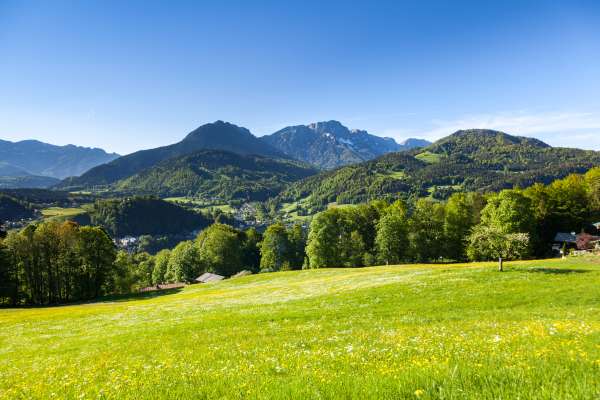 Bild aus der Galerie