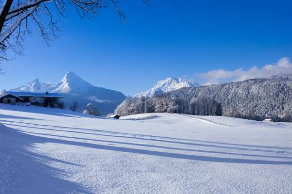 Bild aus der Galerie