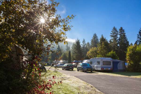 Bild aus der Galerie