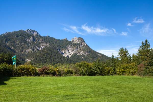 Bild aus der Galerie