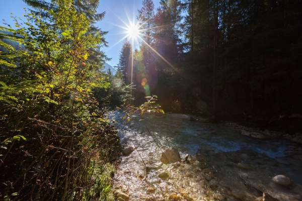 Bild aus der Galerie