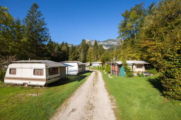 Bild aus der Galerie