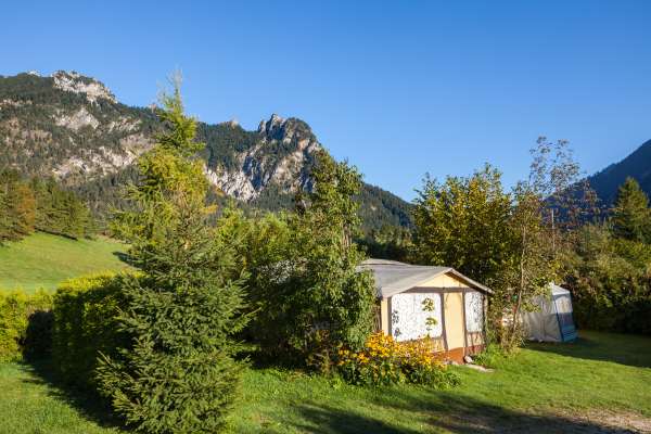 Bild aus der Galerie