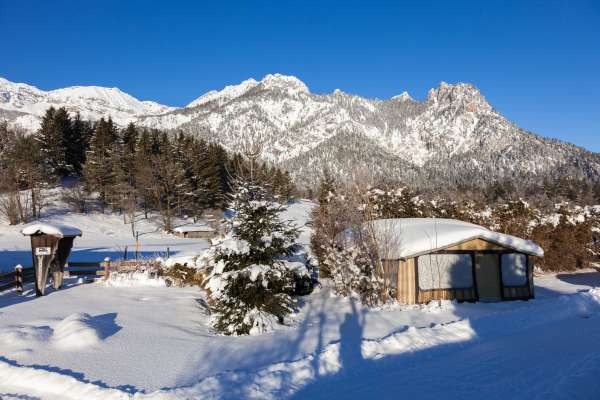 Bild aus der Galerie