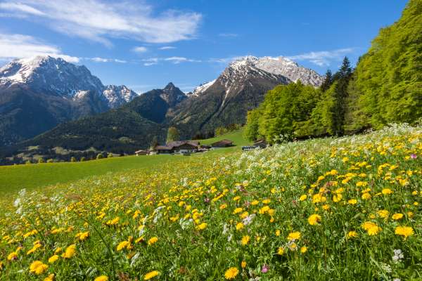 Bild aus der Galerie