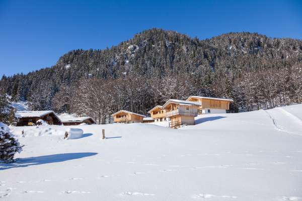 Bild aus der Galerie