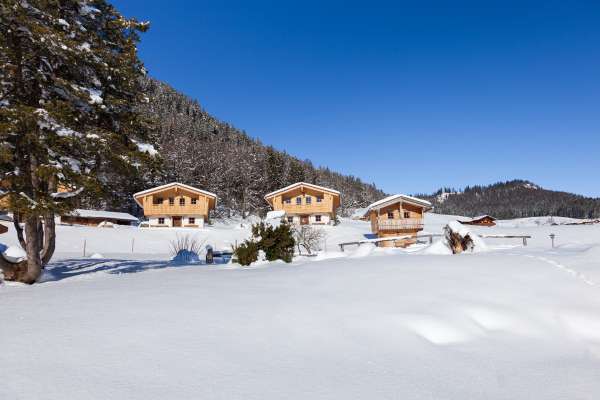 Bild aus der Galerie