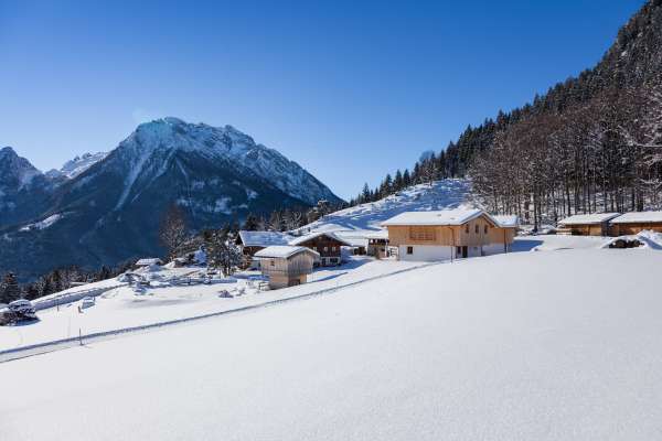 Bild aus der Galerie