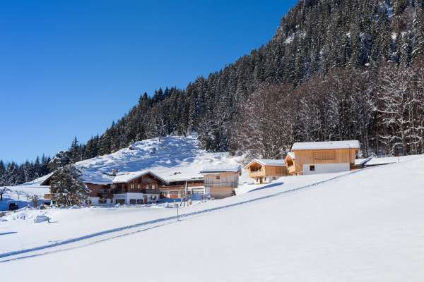 Bild aus der Galerie