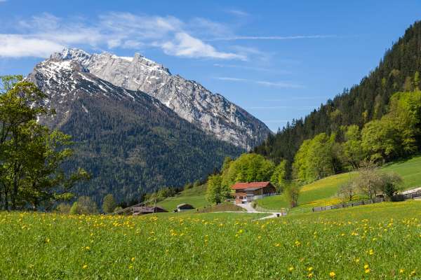 Bild aus der Galerie