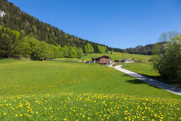 Bild aus der Galerie