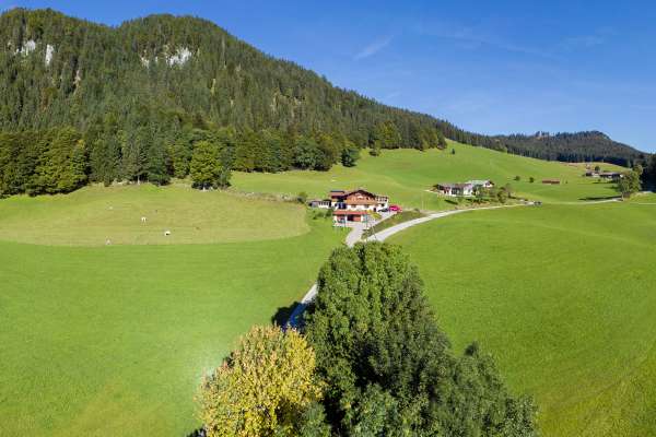 Bild aus der Galerie