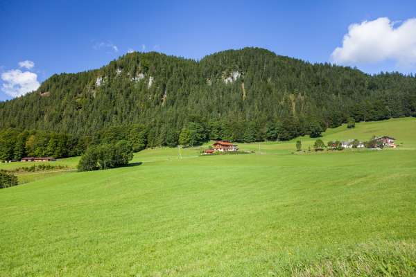 Bild aus der Galerie