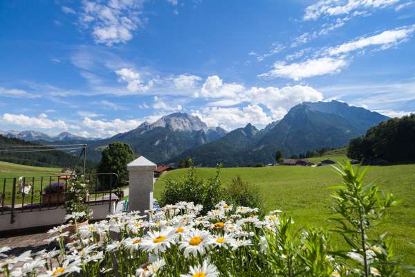 Bild aus der Galerie