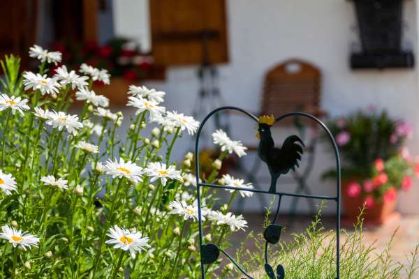 Bild aus der Galerie