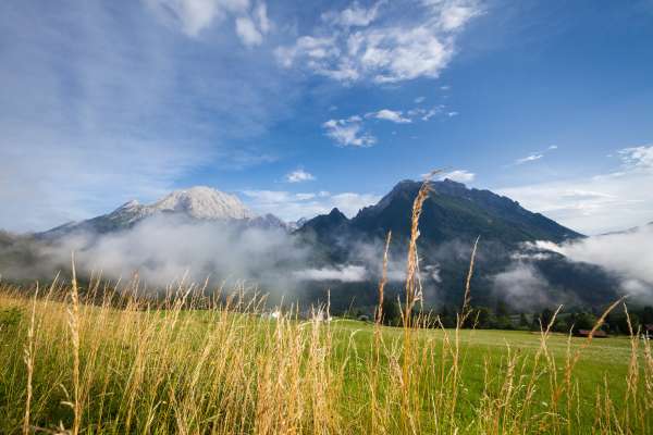 Bild aus der Galerie