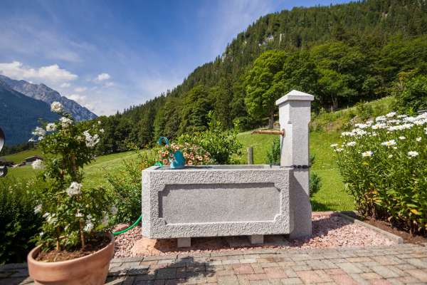 Bild aus der Galerie