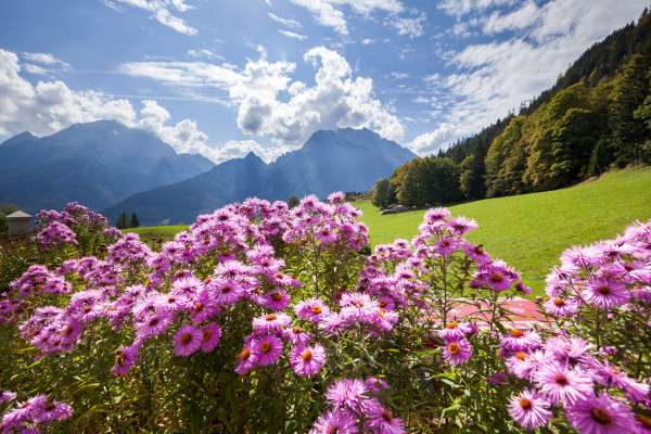 Bild aus der Galerie