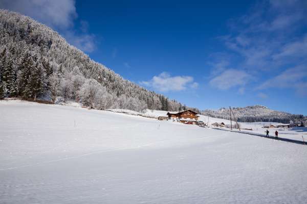 Bild aus der Galerie