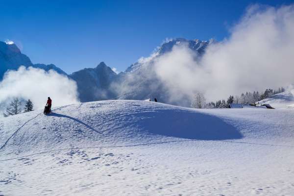 Bild aus der Galerie