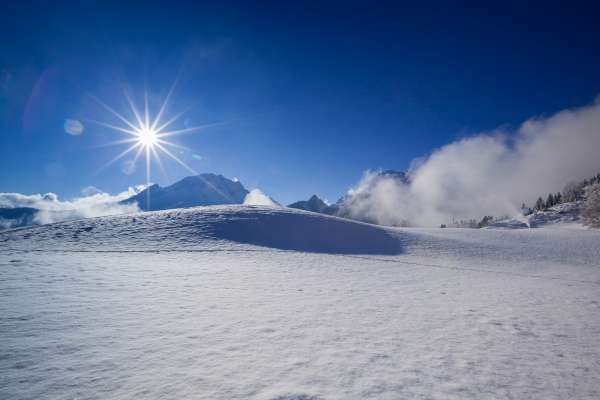 Bild aus der Galerie