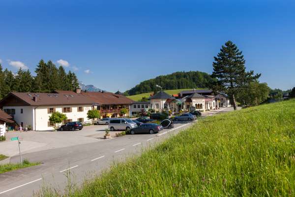 Bild aus der Galerie