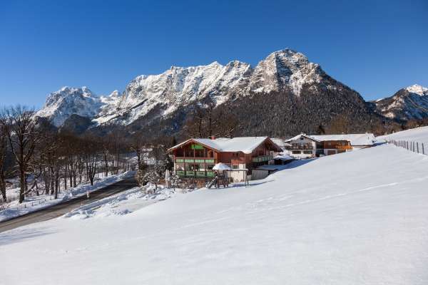 Bild aus der Galerie