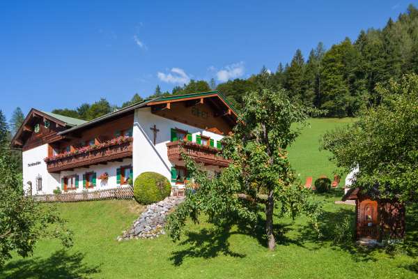 Bild aus der Galerie