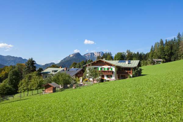 Bild aus der Galerie