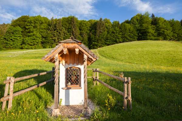 Bild aus der Galerie