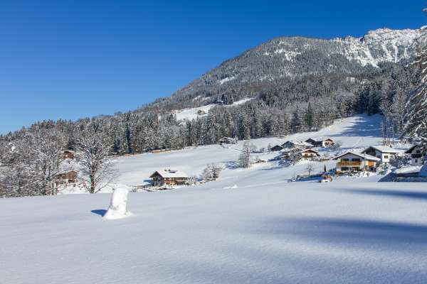 Bild aus der Galerie