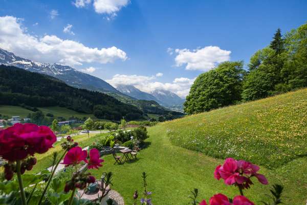 Bild aus der Galerie