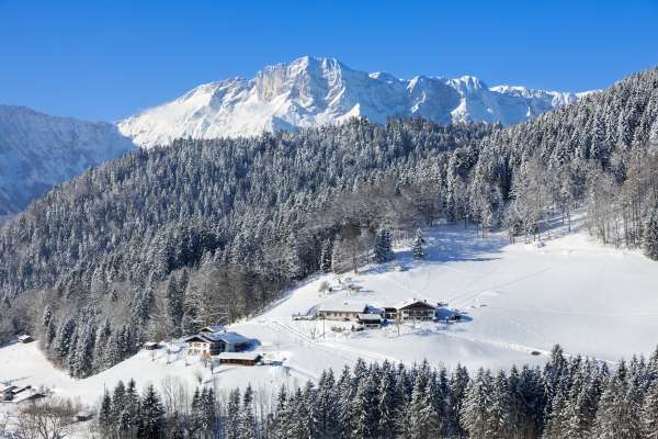 Bild aus der Galerie