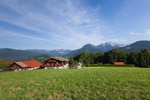 Bild aus der Galerie