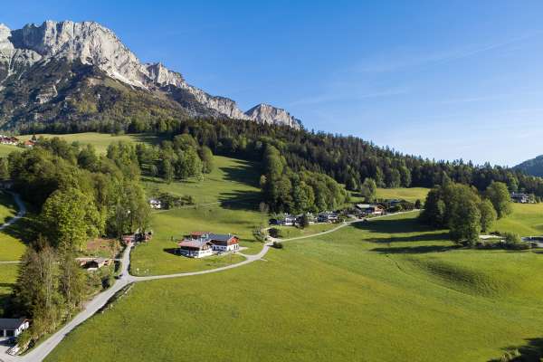 Bild aus der Galerie