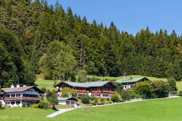 Bild aus der Galerie