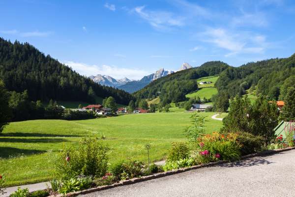 Bild aus der Galerie