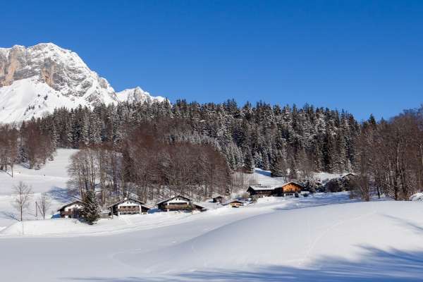 Bild aus der Galerie