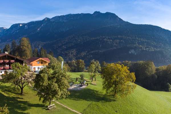 Bild aus der Galerie