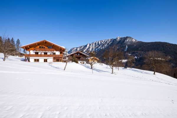 Bild aus der Galerie