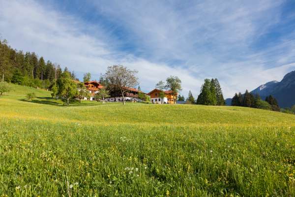 Bild aus der Galerie