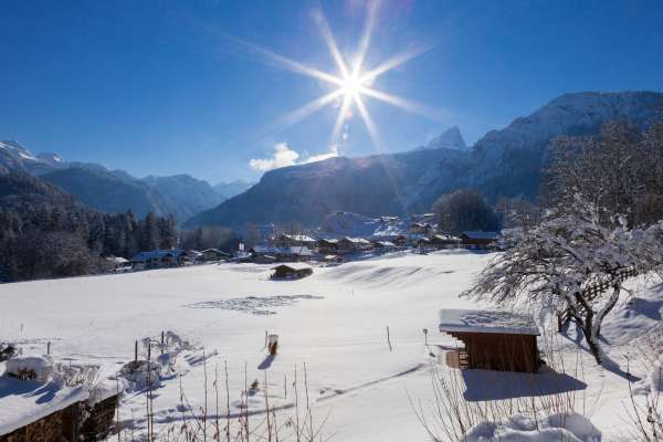 Bild aus der Galerie