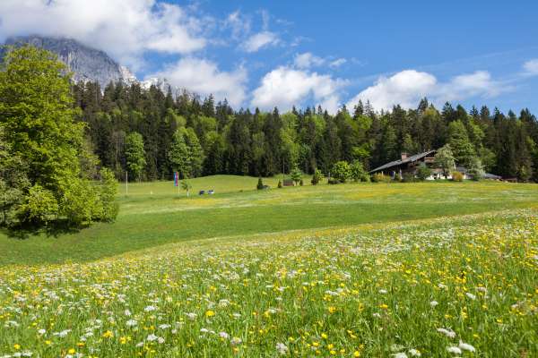 Mehr zu Gasthof Dürrlehen