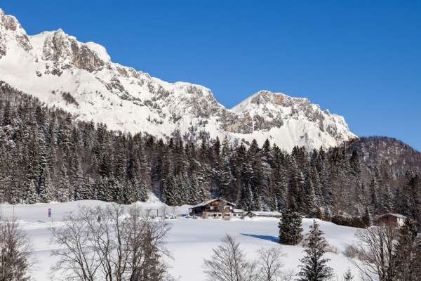 Bild aus der Galerie