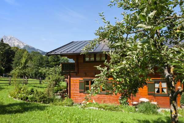 Bild aus der Galerie