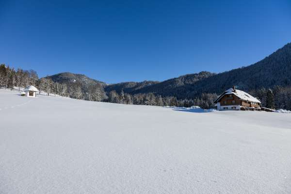 Bild aus der Galerie