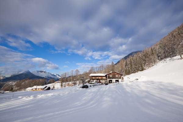 Bild aus der Galerie