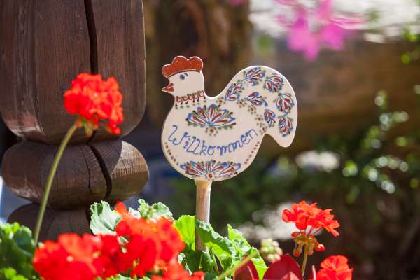 Bild aus der Galerie