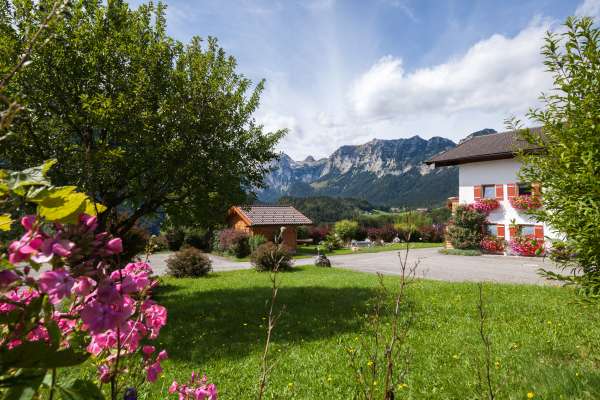 Bild aus der Galerie