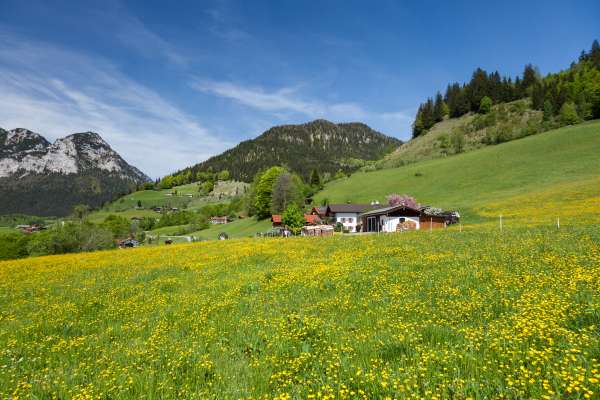 Bild aus der Galerie